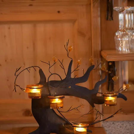 丽莎酒店 4* 弗拉绍