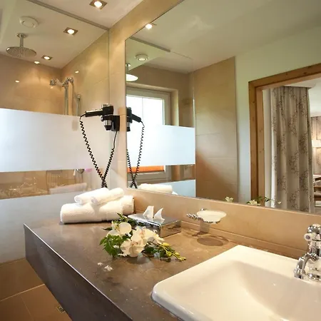 丽莎酒店 酒店 弗拉绍