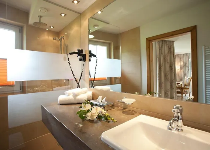 丽莎酒店 酒店 弗拉绍